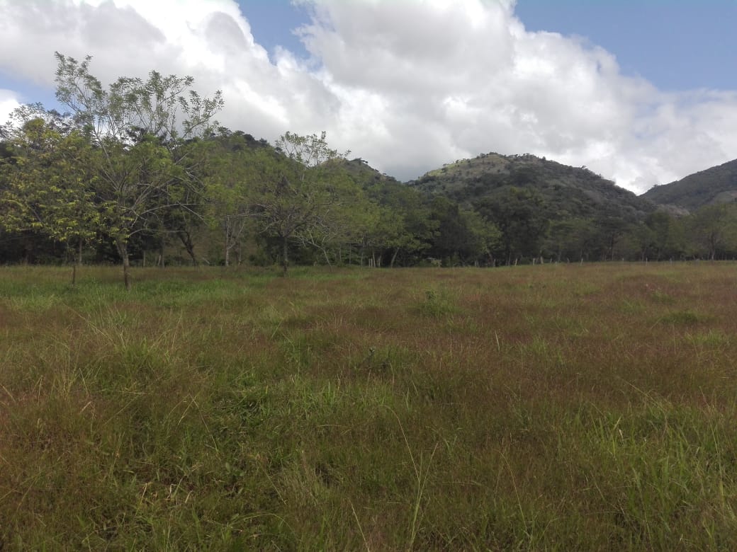 quilali
